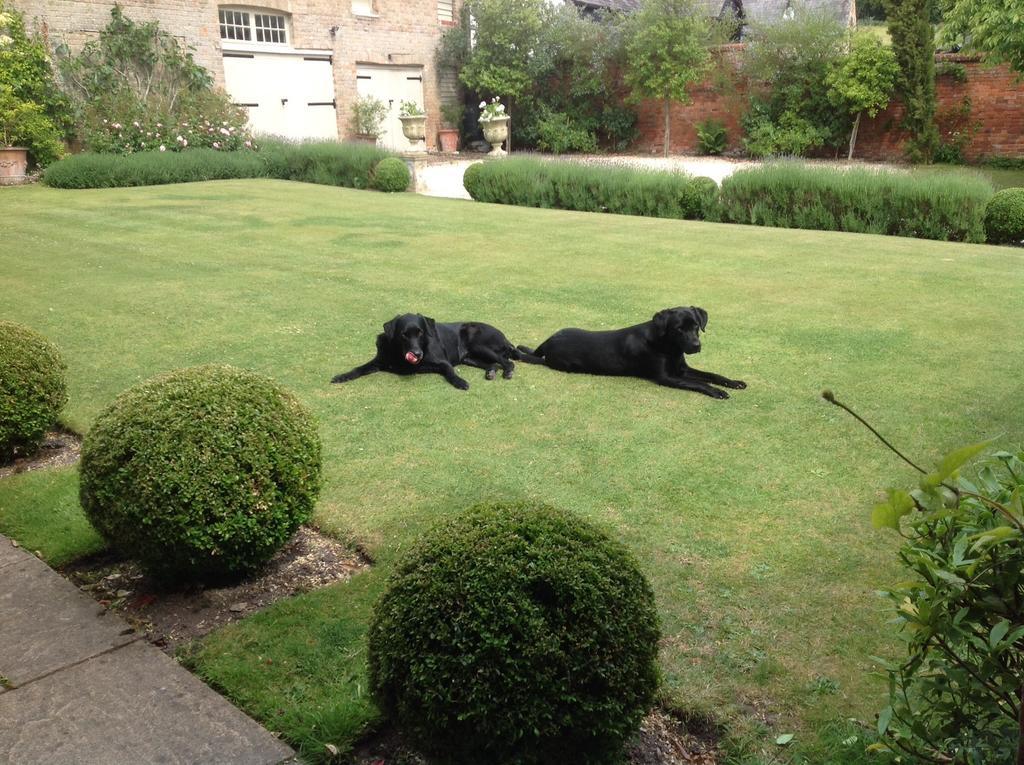 Brunton Farmhouse Hotel Collingbourne Kingston ภายนอก รูปภาพ
